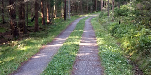 Naturbild tagen i augusti