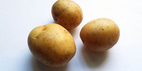 Potatis